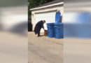 Man Flattening Cardboard Box Tastes True Power